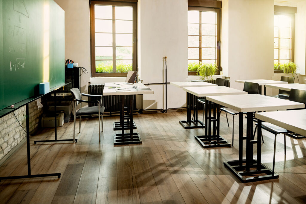 Rapporto Censis 2024: No comment